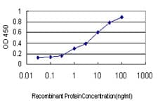 USP5 Antibody (clone 2C8)