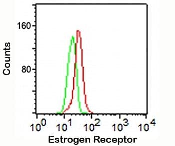 Estrogen Receptor Antibody (aa2-185, clone ER506, Azide-free, BSA-free)