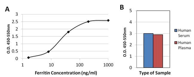 Ferritin Antibody (clone 523)