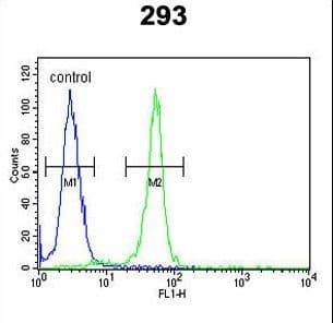 RRS1 Antibody (aa336-365)