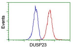 DUSP23 Antibody (clone OTI3C10)