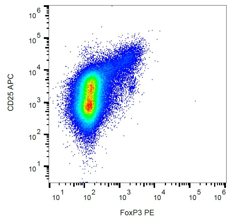 FOXP3 Antibody (clone 3G3, PE)