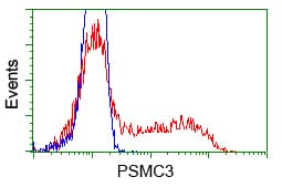 PSMC3 Antibody (clone OTI8D6)