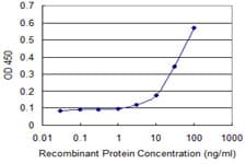 Monoclonal Mouse anti-Human PHKG2 Antibody (clone 2D12, WB)
