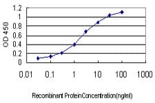 GNGT2 Antibody (clone 1G11-C7)