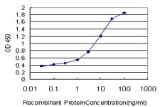 DAO / D Amino Acid Oxidase Antibody (clone 2F5)