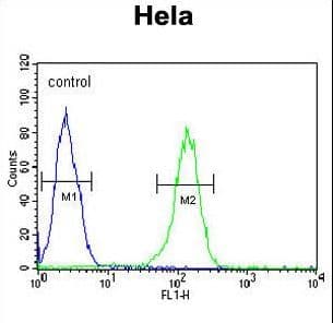 IHC-plus™ TMEM214 / FLJ20254 Antibody (aa38-66)