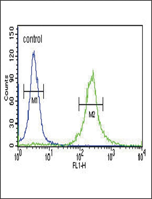 Polyclonal Rabbit anti-Human INHA / Inhibin Alpha Antibody (aa79-108, IHC, IF, WB)