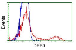 DPP9 Antibody (clone OTI2F10)