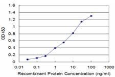 PI15 Antibody (clone 3B5)