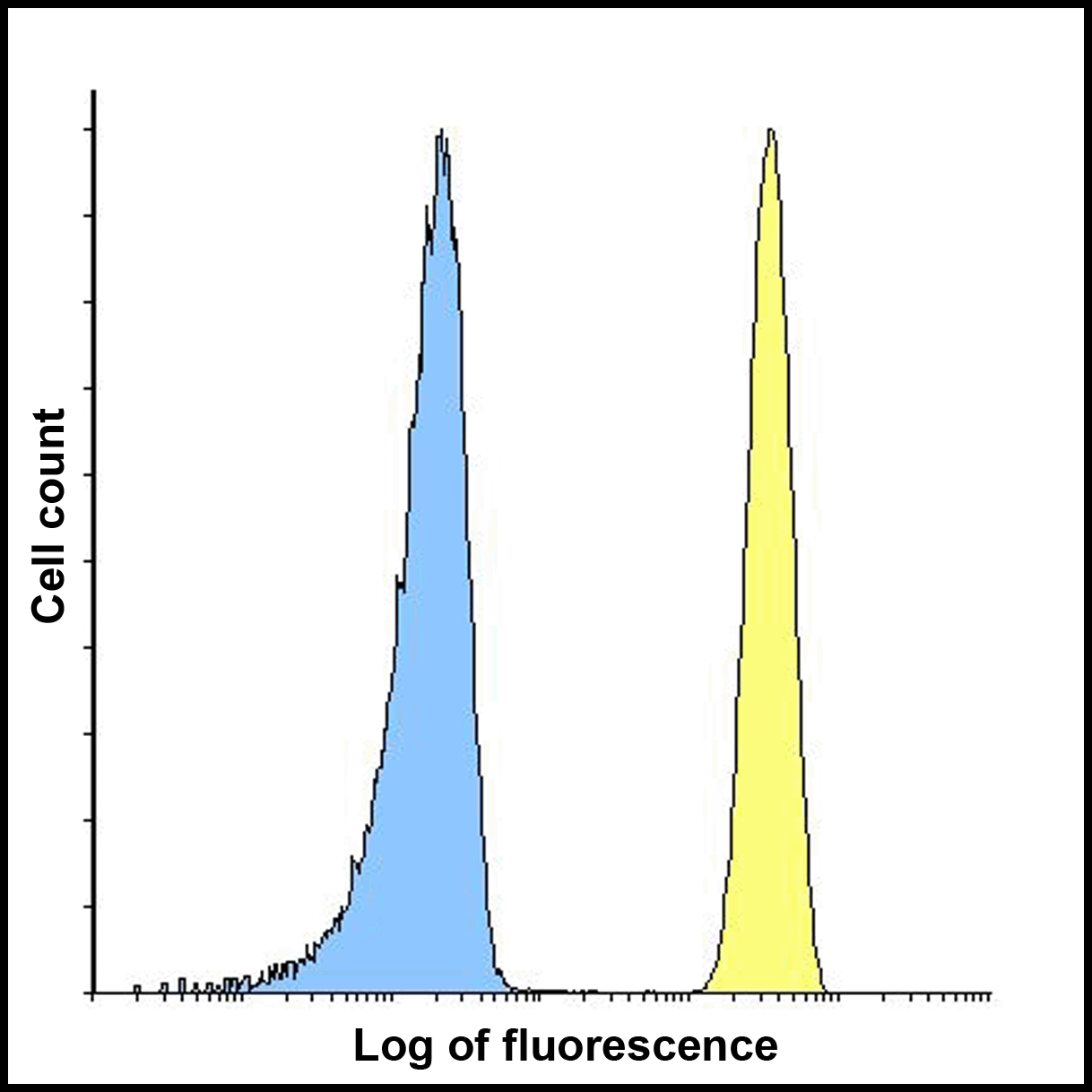 CD276 / B7-H3 Antibody (clone 7B3)