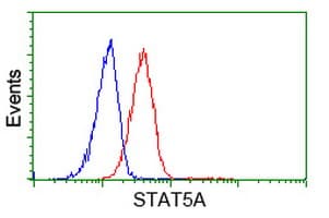 STAT5A Antibody (clone OTI10H1)