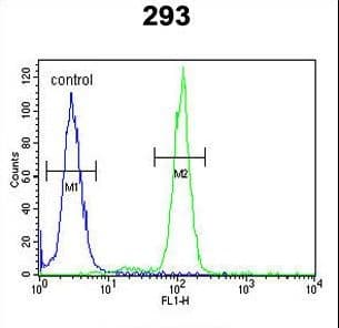 SLC51A / OSTalpha Antibody (aa298-327)