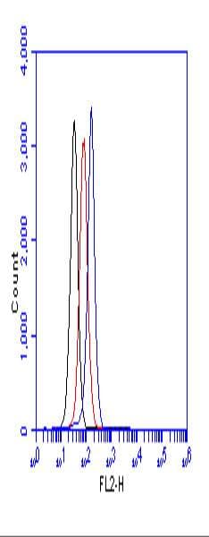 Polyclonal Rabbit anti-Human TP53BP1 / 53BP1 Antibody (phospho-Ser25, IHC, WB)
