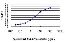 AATK / AATYK Antibody (clone 5B8)