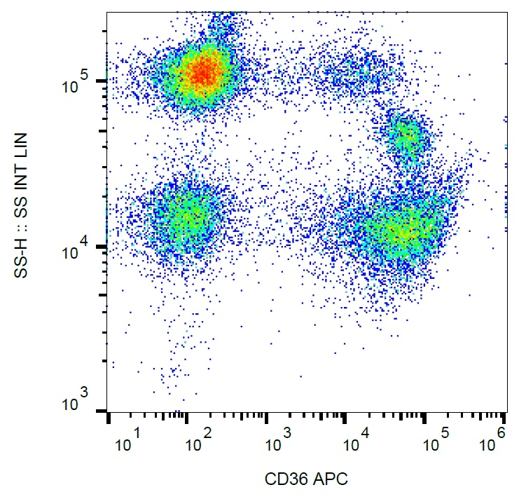 CD36 Antibody (clone TR9, APC)