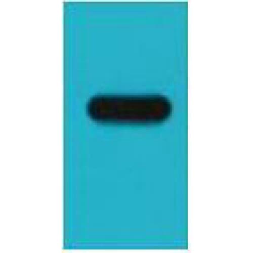 Monoclonal Mouse Strep Tag II Antibody (clone Mix, WB)