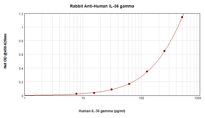 Polyclonal Rabbit anti-Human IL1F9 Antibody (WB)