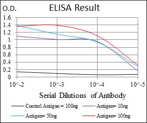 IHC-plus™ RPS6KA3 / RSK2 Antibody (clone 4E10)