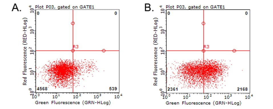 HAVCR2 / TIM-3 Antibody (clone OTI1D10)
