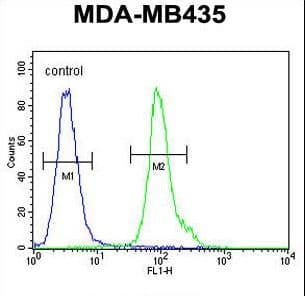 NPM3 Antibody (aa30-58)