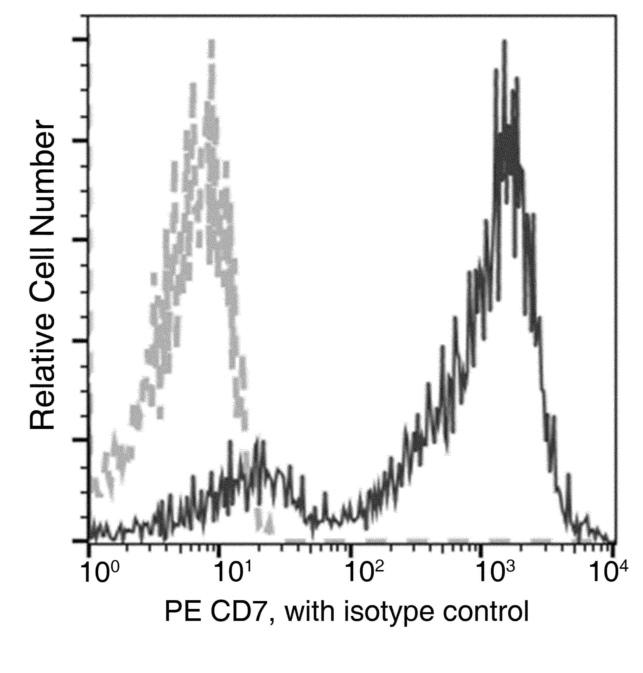 CD7 Antibody (clone 21, PE)