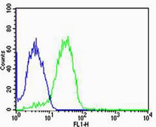 UIMC1 / RAP80 Antibody (aa567-601)