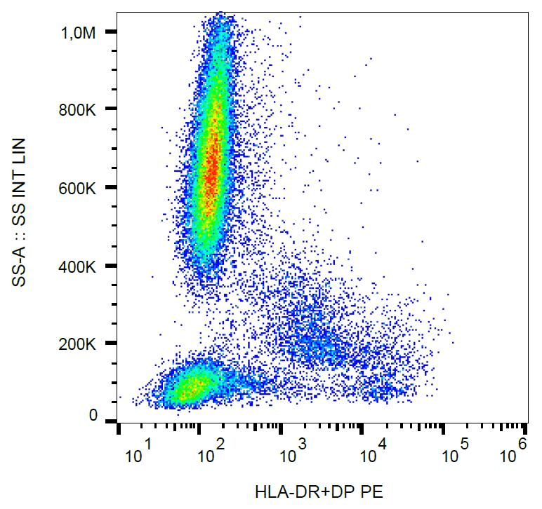 Monoclonal Mouse anti-Human HLA-DP/DR Antibody (clone MEM-136, PE, IHC, WB)