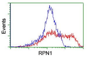 RPN1 / Ribophorin I Antibody (clone OTI5B1, Carrier-free)