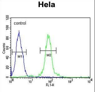 FBXW8 Antibody (aa270-299)