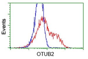 OTUB2 Antibody (clone OTI2B2)