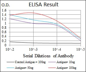 GSTM1 Antibody (clone 1H4A4)