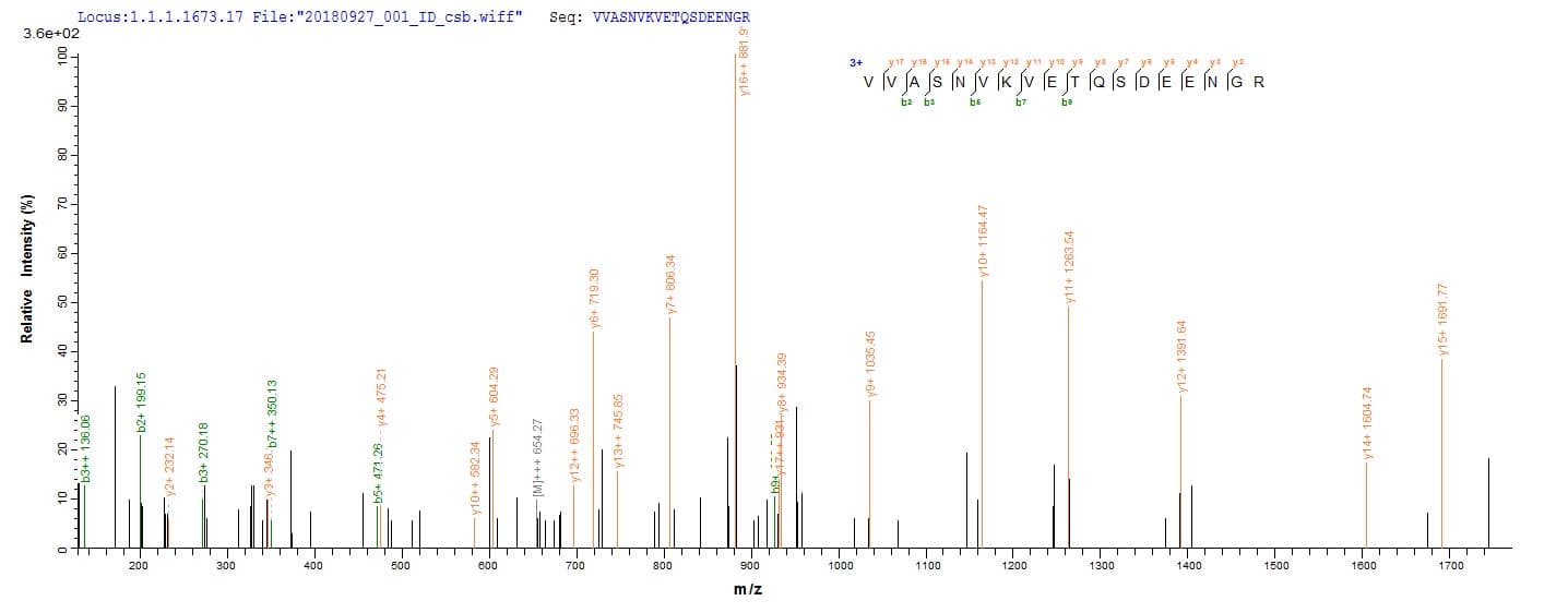 Human IKZF1 / IKAROS Protein (Recombinant 6His-AVI, N-terminus)