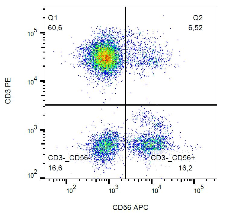 Monoclonal Mouse anti-Human NCAM / CD56 Antibody (clone MEM-188, APC, IHC)