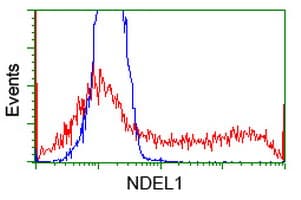 NUDEL / NDEL1 Antibody (clone OTI1G10)