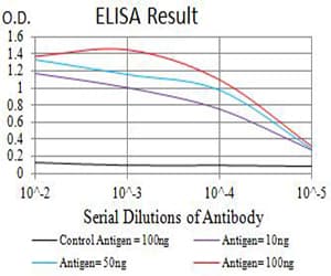 BTRCP / BETA-TRCP Antibody (clone 3D5E6)