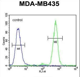 TAPT1 Antibody (aa530-558)
