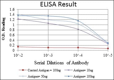 HFE Antibody (clone 3F1)