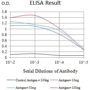 SSTR2 Antibody (clone 6A1C6)