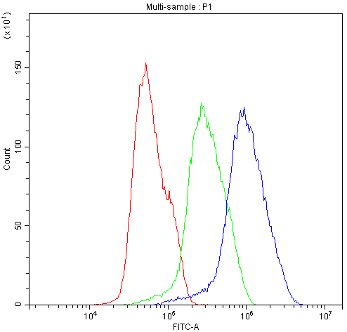 BIK Antibody (aa1-123)