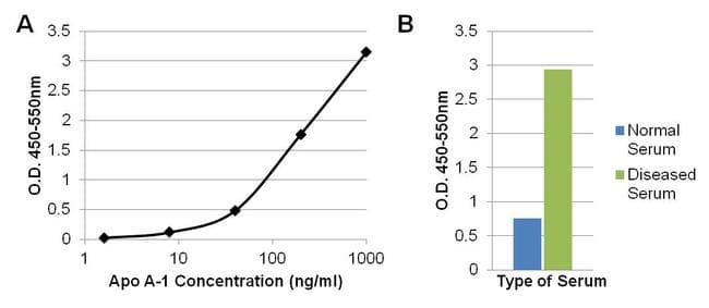 APOA1 / Apolipoprotein A 1 Antibody (clone 513)