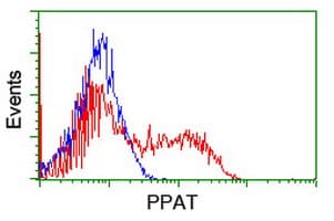 PPAT Antibody (clone OTI2C2)
