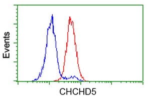 CHCHD5 Antibody (clone OTI4B3)