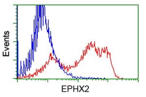EPHX2 / Epoxide Hydrolase 2 Antibody (clone OTI2F2, Carrier-free)