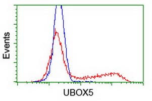 UBOX5 Antibody (clone OTI5G9)
