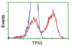 TP53 / p53 Antibody (clone OTI2A4)