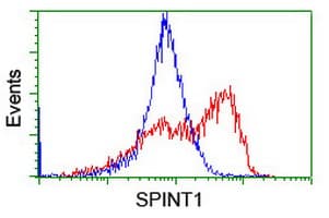 SPINT1 / HAI-1 Antibody (clone OTI1D2)