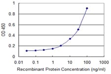 NELL2 Antibody (clone 1F6)