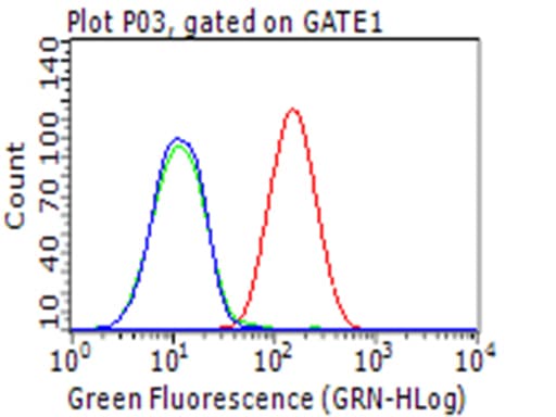 CD274 / B7-H1 / PD-L1 Antibody (clone OTI9E1)