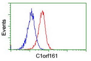 MAB21L3 / C1orf161 Antibody (clone OTI2A3)